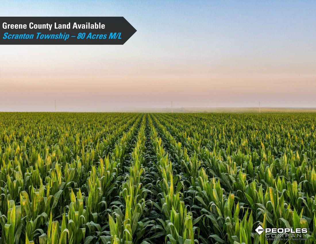 Listing Photo: Greene-County-Land-Available-Scranton-Iowa-80-Acres-19663 (5)